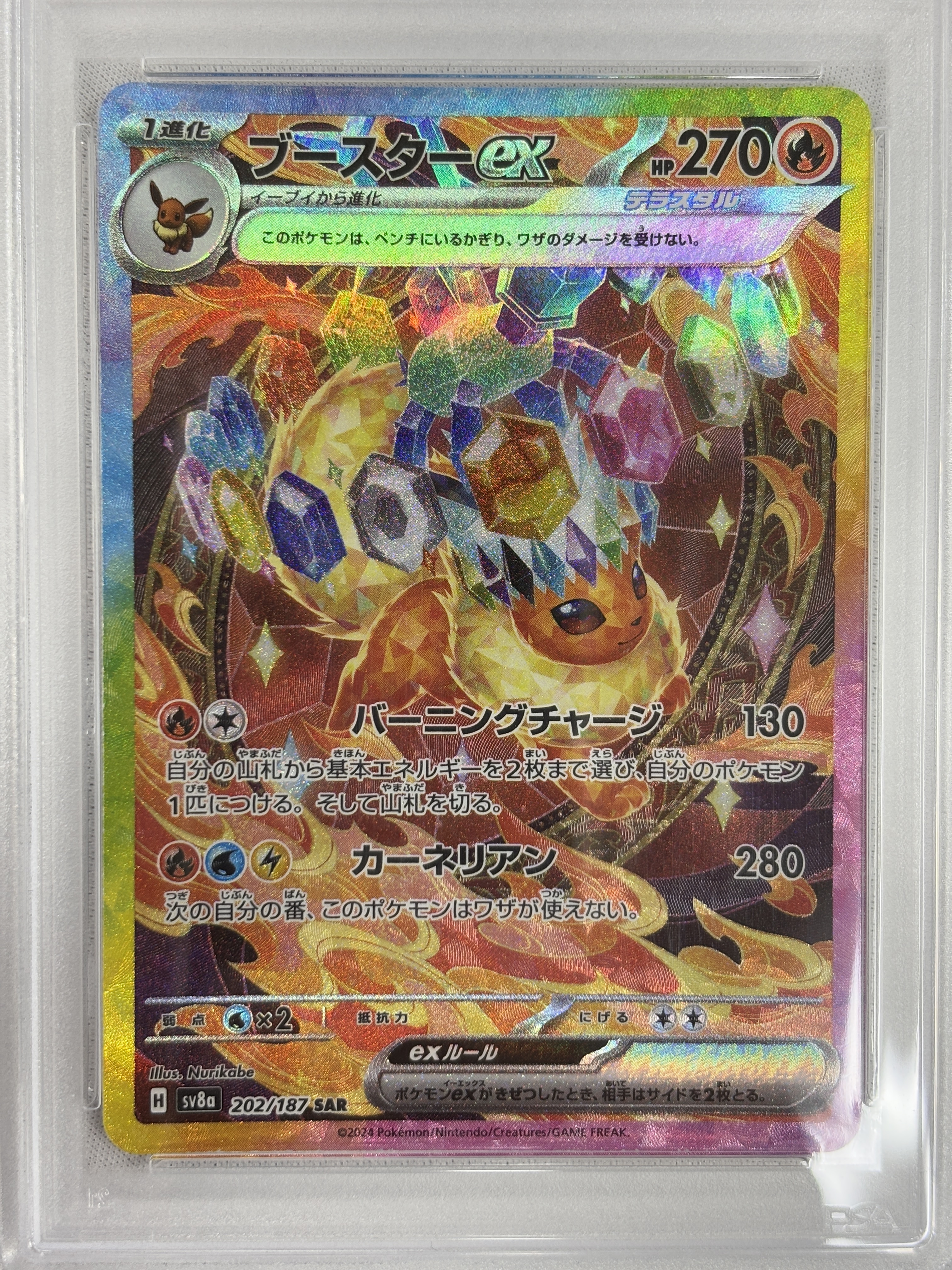 【PSA10】ブースターex(202/187)[SAR]【SV8a】①
