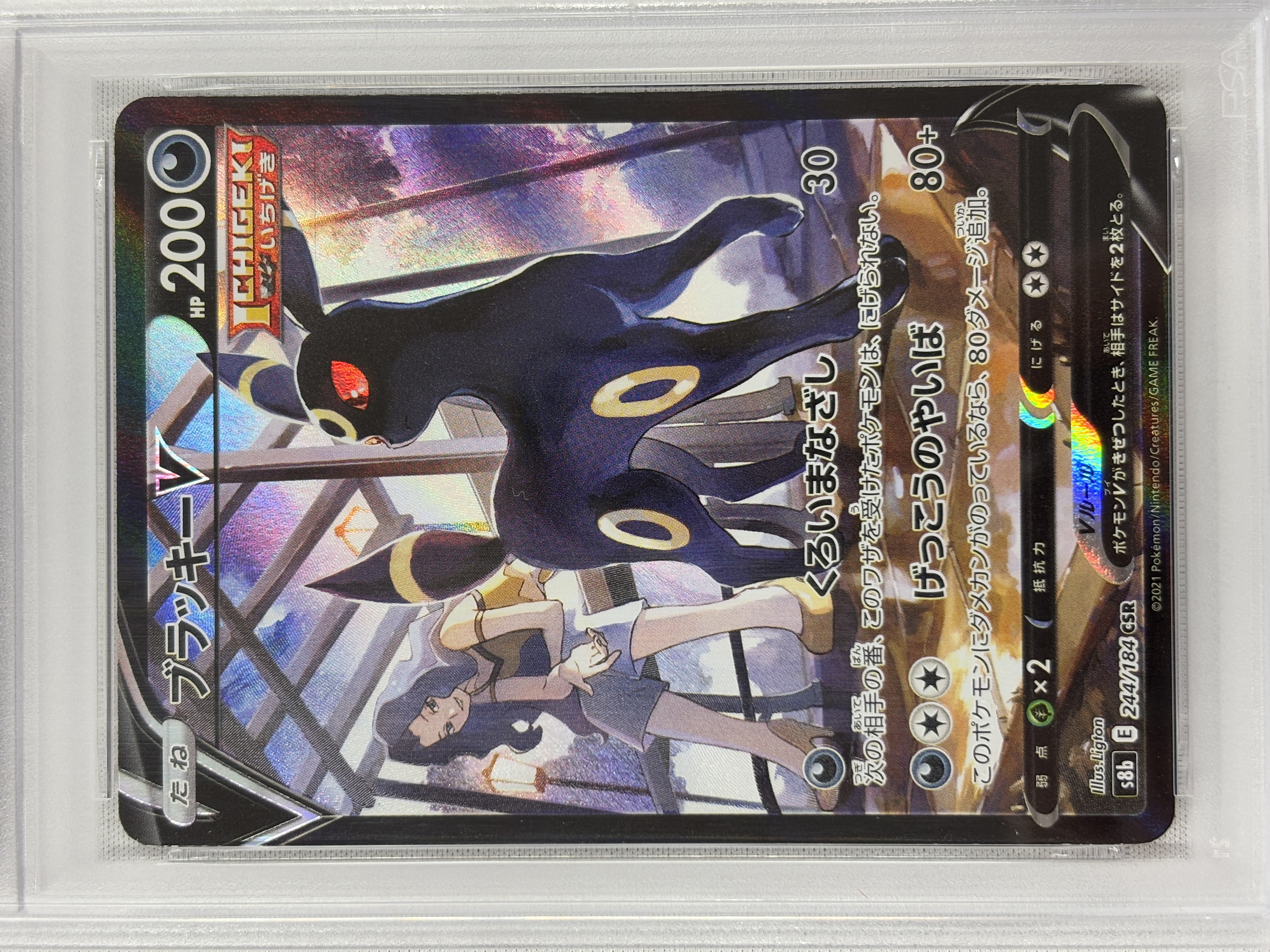 【PSA10】ブラッキーV(244/184)[CSR]【S8b】