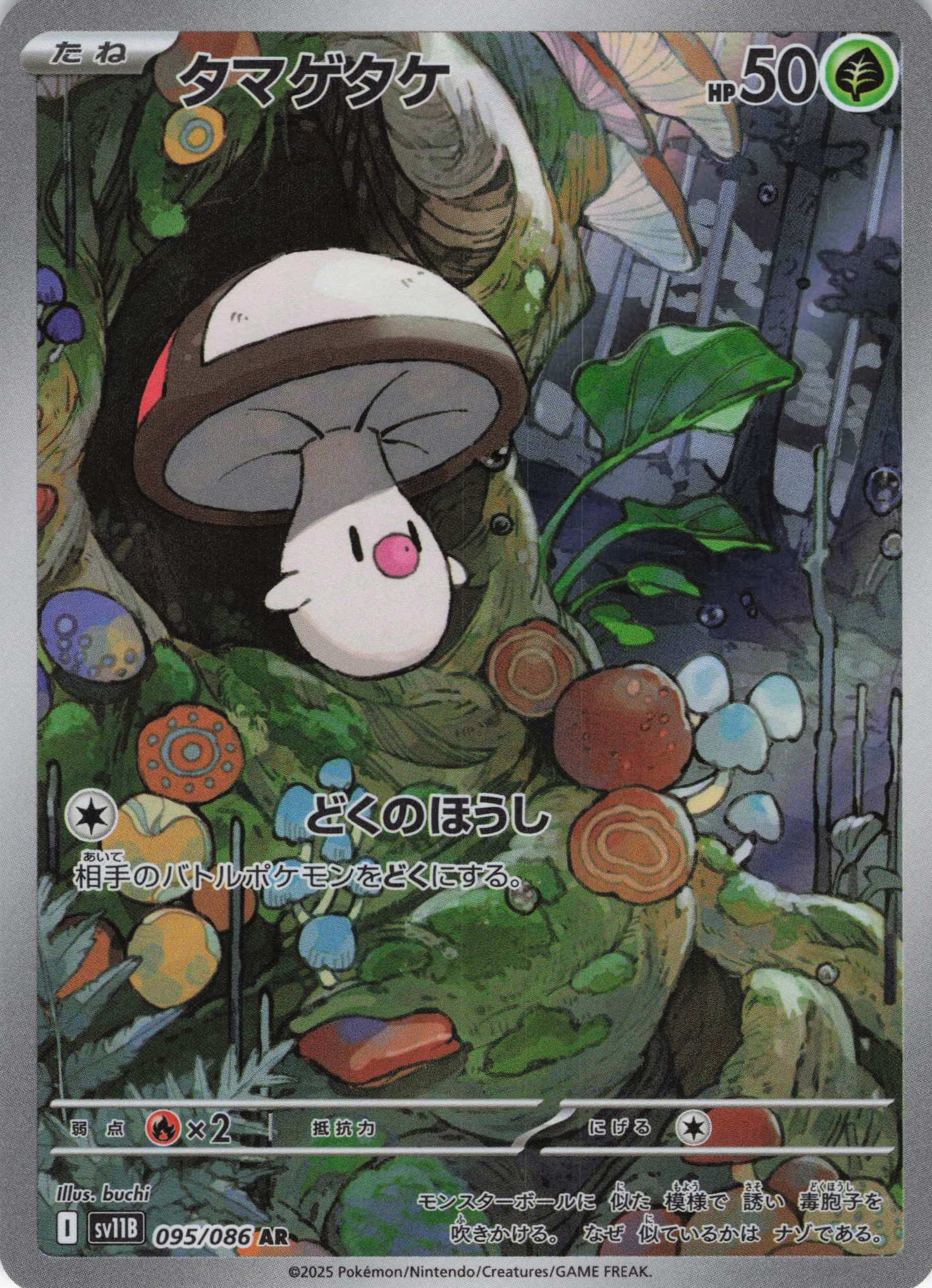 【状態B】タマゲタケ(095/086)[AR]【SV11B】