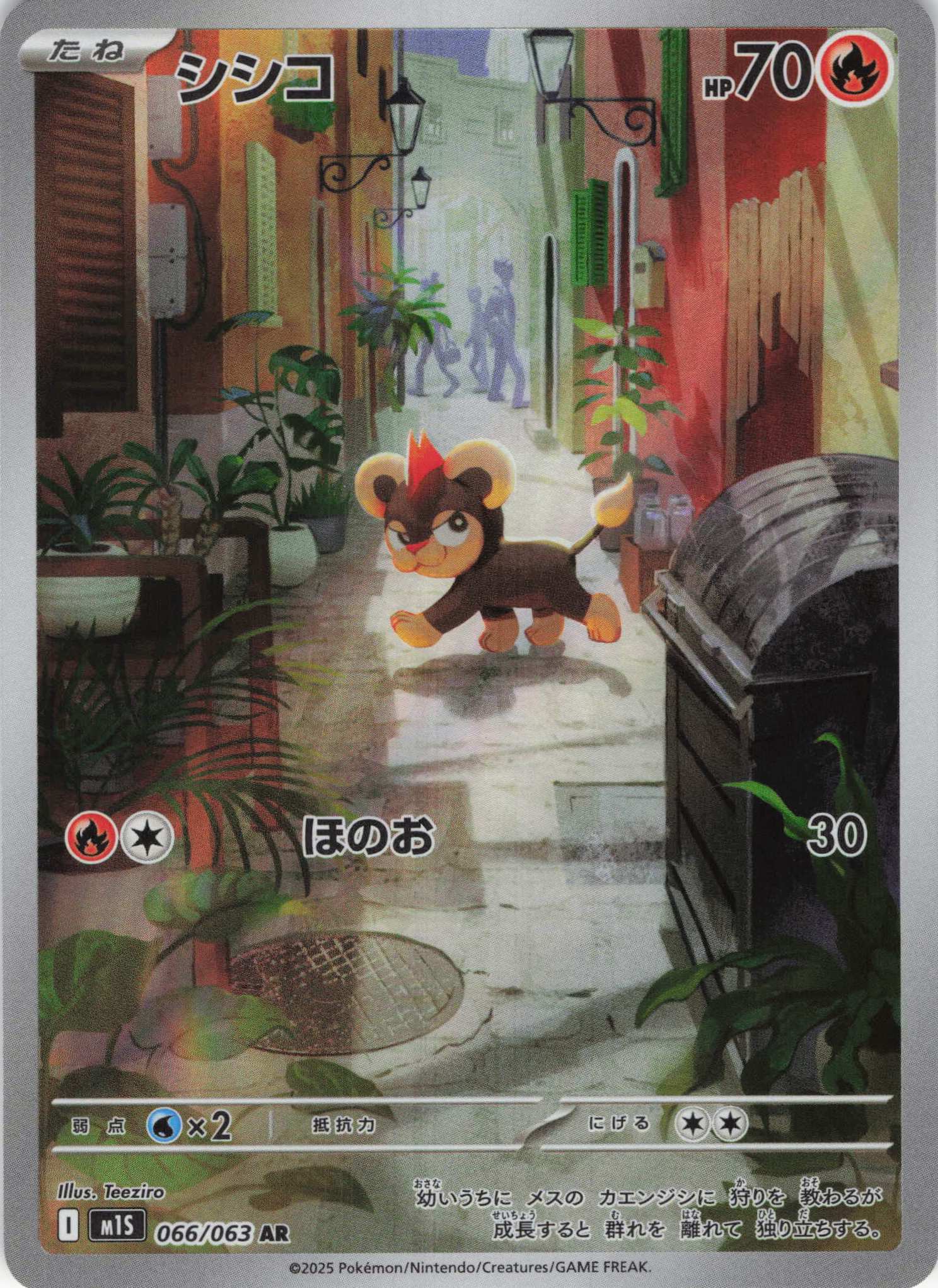 【状態B】シシコ(066/063)[AR]【M1S】