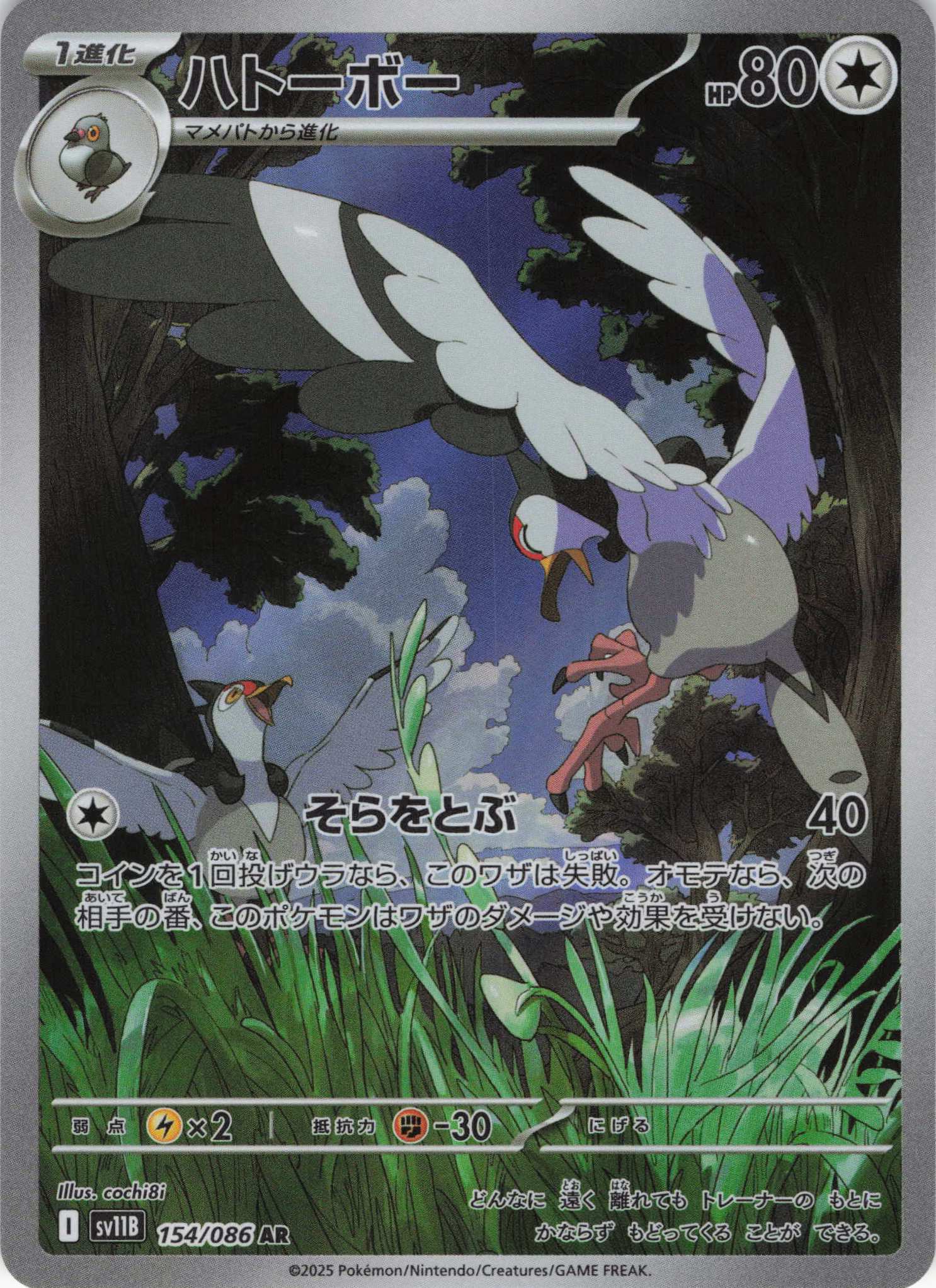 【状態B】ハトーボー(154/086)[AR]【SV11B】