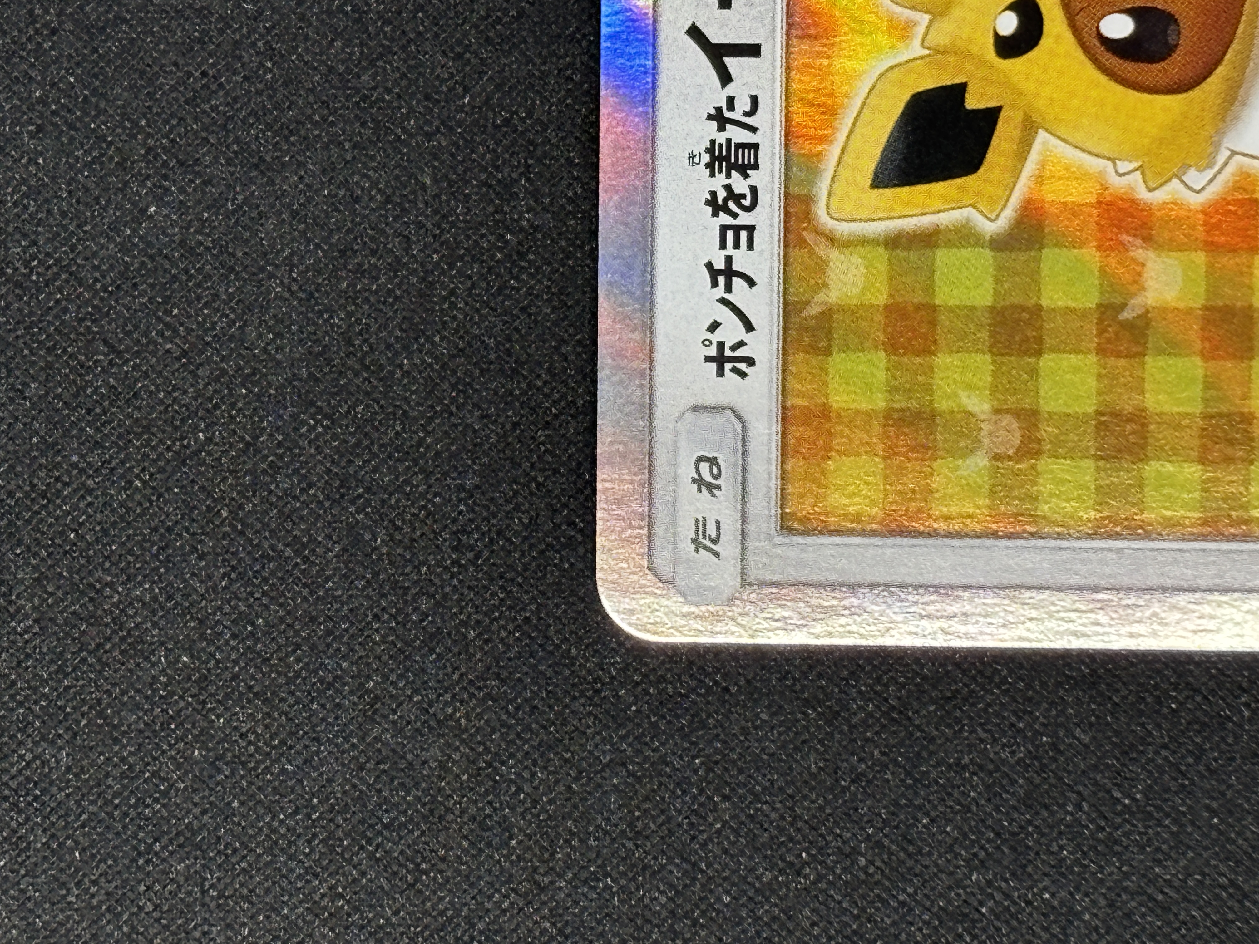 【状態B】ポンチョを着たイーブイ(138/SM-P)[-]【PROMO】