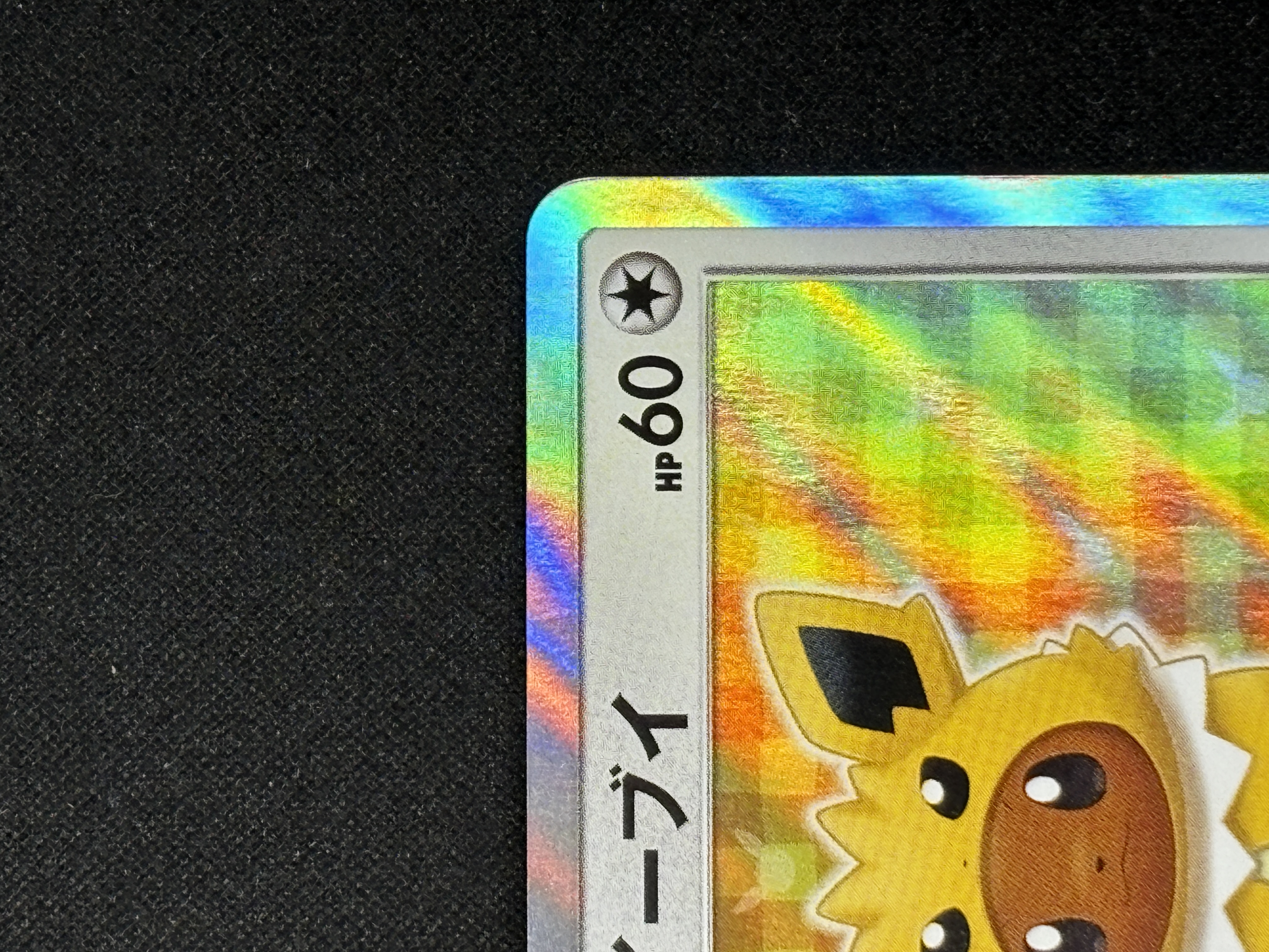 【状態B】ポンチョを着たイーブイ(138/SM-P)[-]【PROMO】