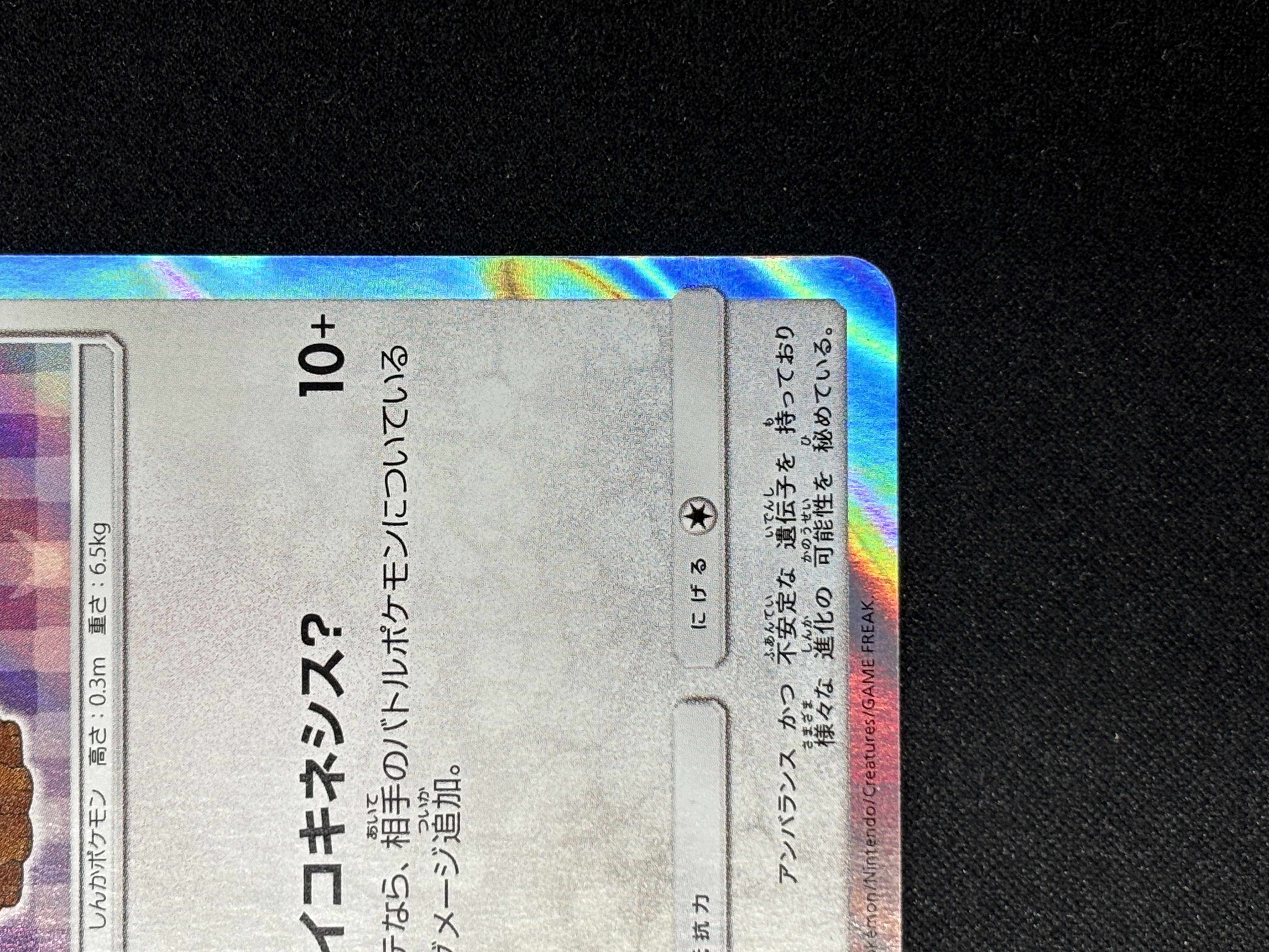 【状態B】ポンチョを着たイーブイ(140/SM-P)[-]【PROMO】