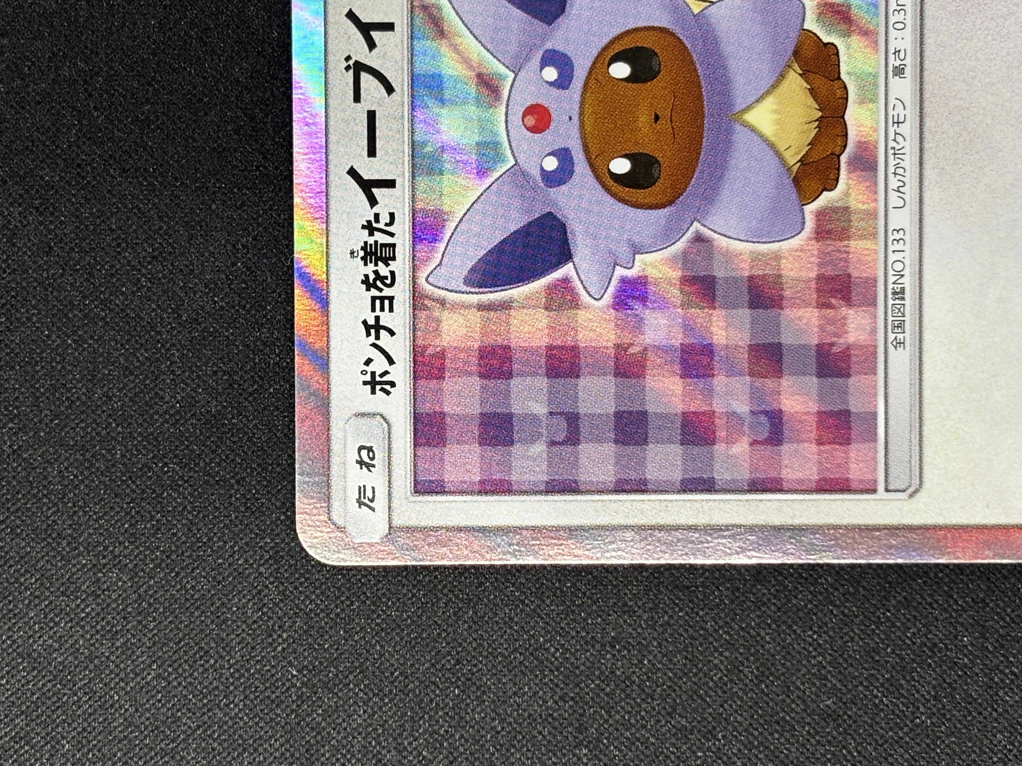 【状態B】ポンチョを着たイーブイ(140/SM-P)[-]【PROMO】