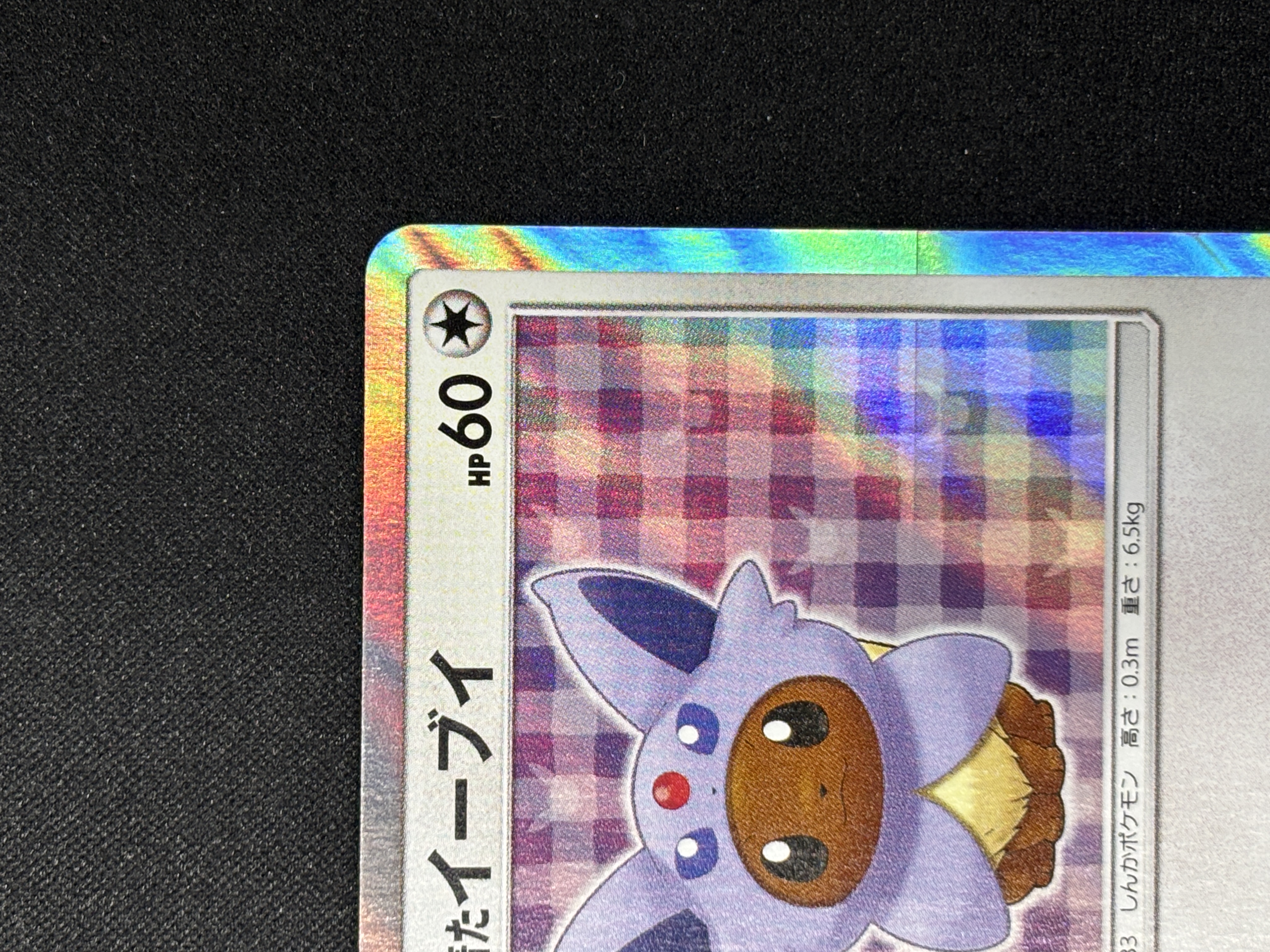 【状態B】ポンチョを着たイーブイ(140/SM-P)[-]【PROMO】