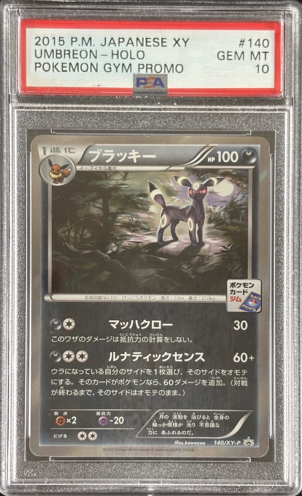 【鑑定済み：PSA10】ブラッキー(ブラッキーナイトバトル優勝プロモ)(140/XY-P)【PROMO】