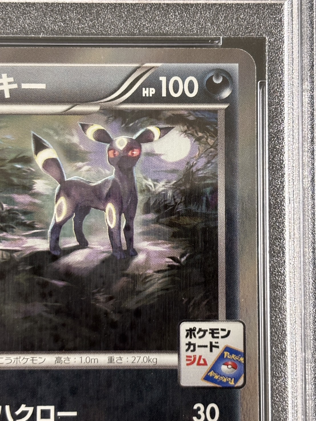 【鑑定済み：PSA10】ブラッキー(ブラッキーナイトバトル優勝プロモ)(140/XY-P)【PROMO】