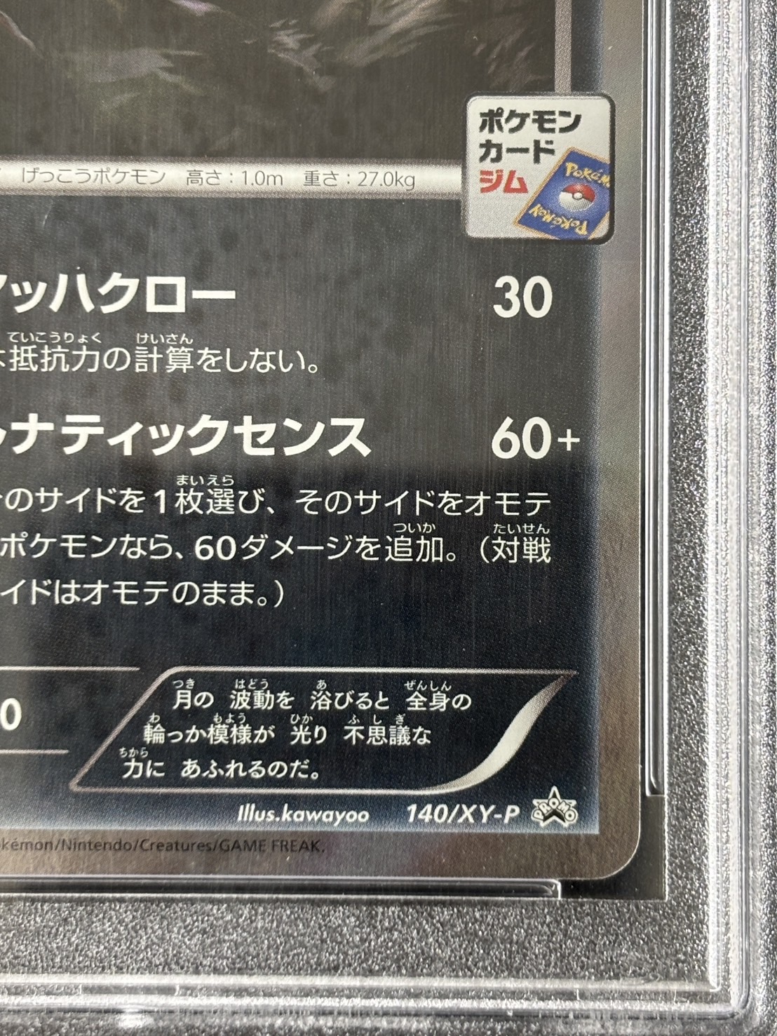 【鑑定済み：PSA10】ブラッキー(ブラッキーナイトバトル優勝プロモ)(140/XY-P)【PROMO】