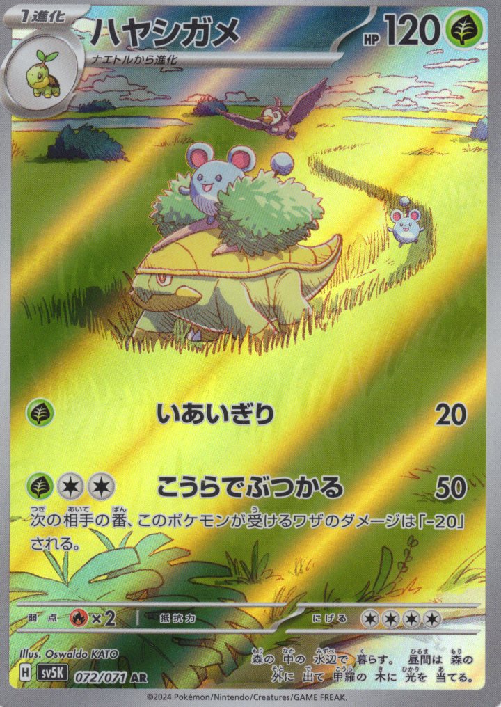 【状態C】ハヤシガメ(072/071)[AR]【sv5K】