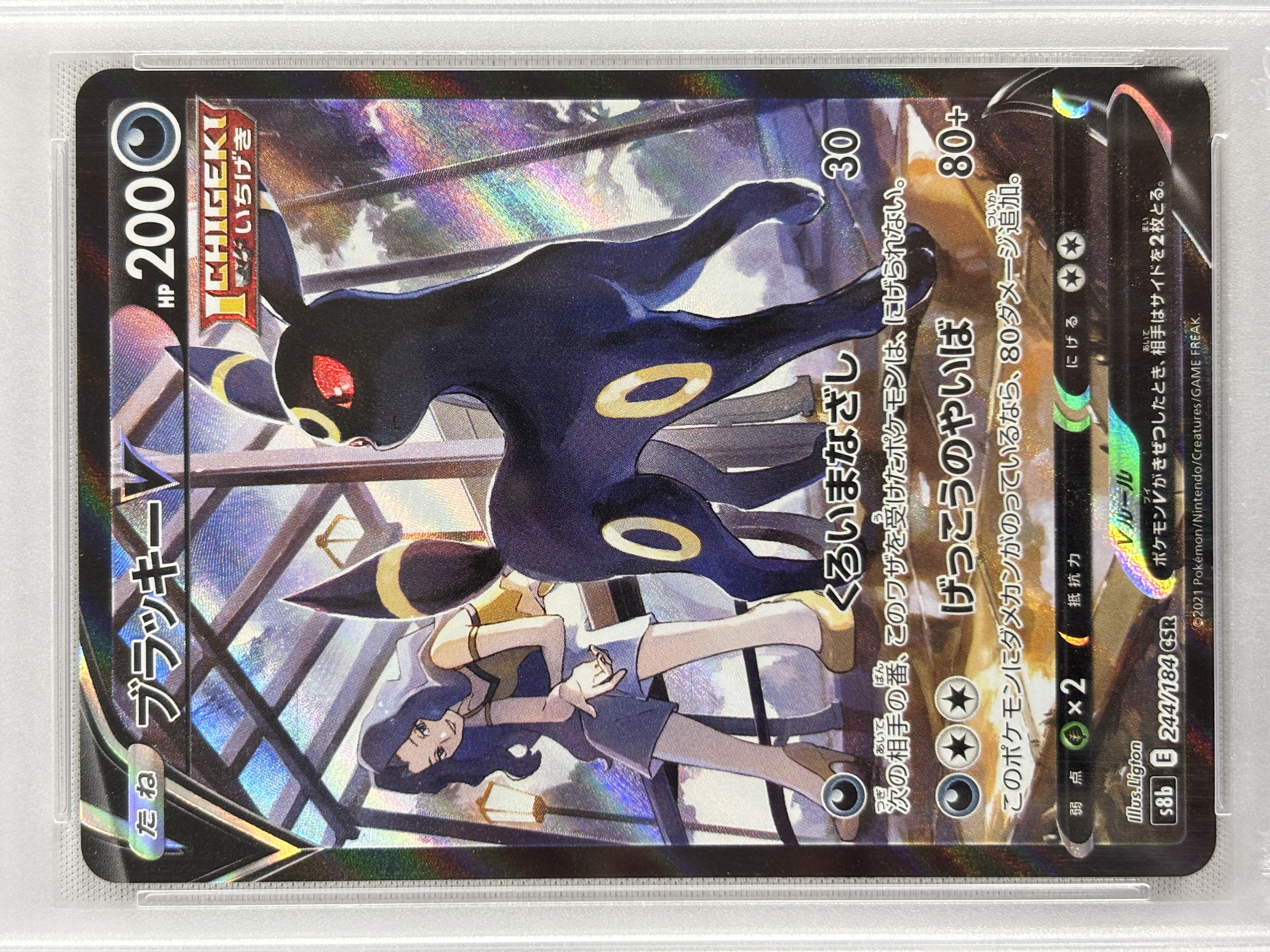 【PSA10】ブラッキーV(244/184)[CSR]【S8b】