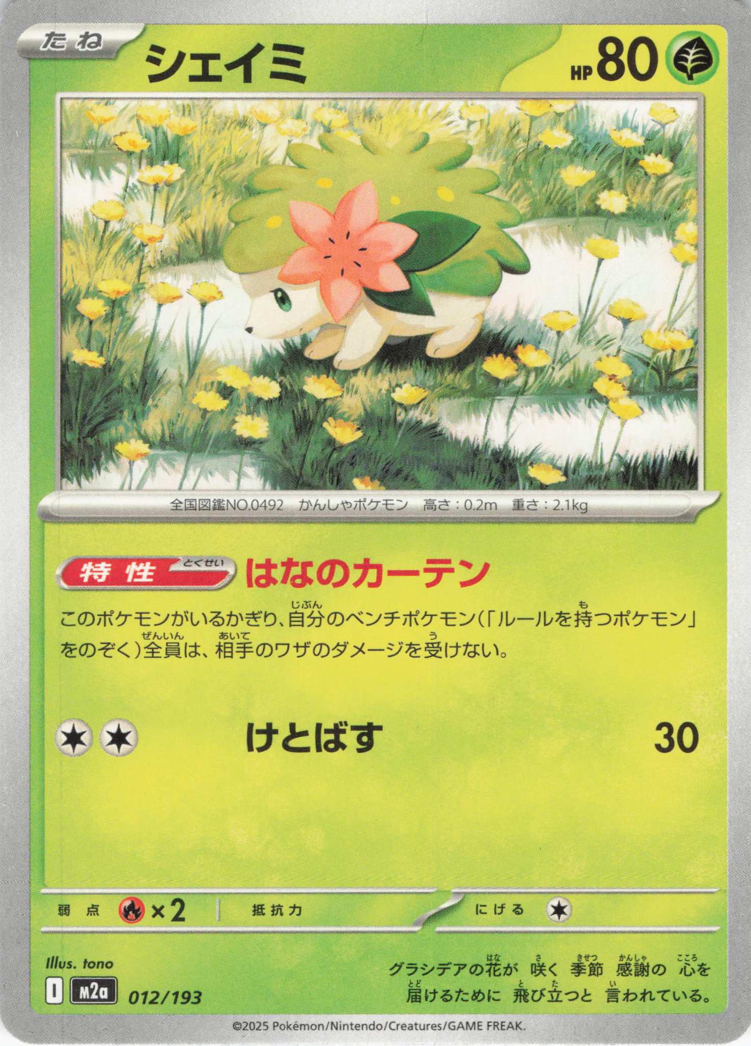 【状態B】シェイミ(012/193)［C］【M2A】