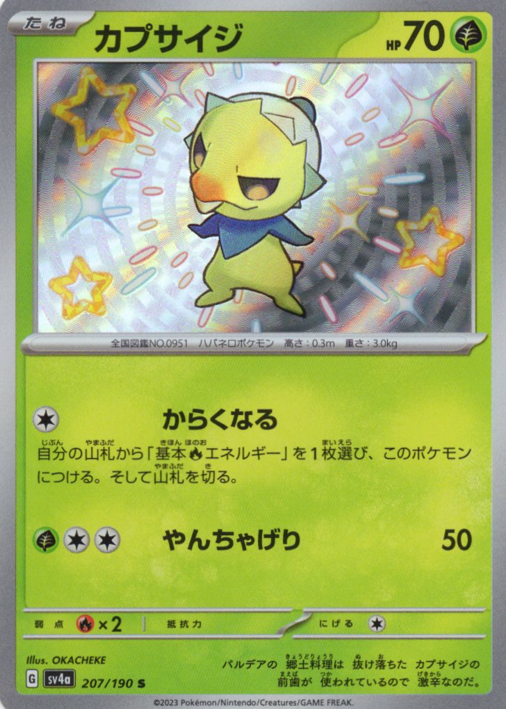 【状態B】カプサイジ(207/190)[S]【SV4a】