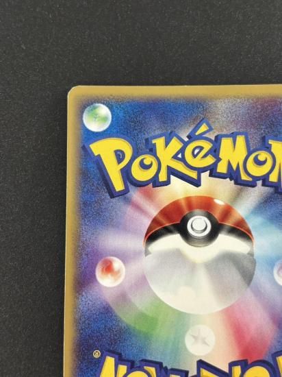 【状態B】●ライコウ(039/088)