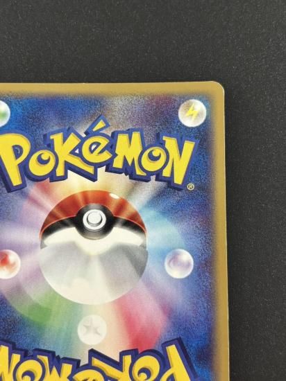 【状態B】●ライコウ(039/088)