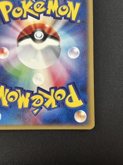 【状態B】●ライコウ(039/088)