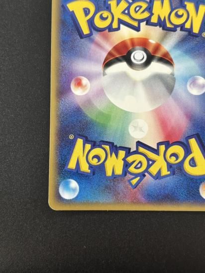 【状態B】●ライコウ(039/088)