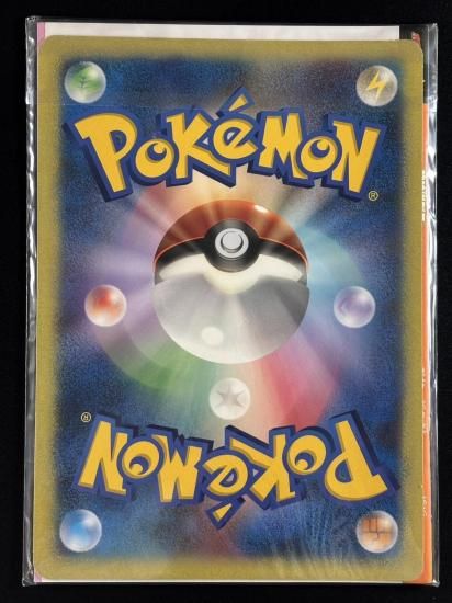 ポケモンスクープ 臨時増刊号 2005･Summer (未開封)