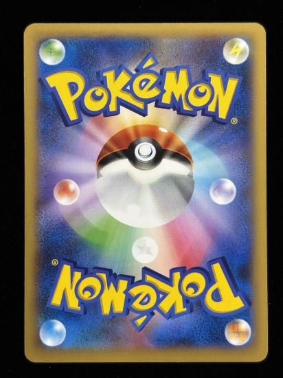 【状態A】●フォッコ(013/060)