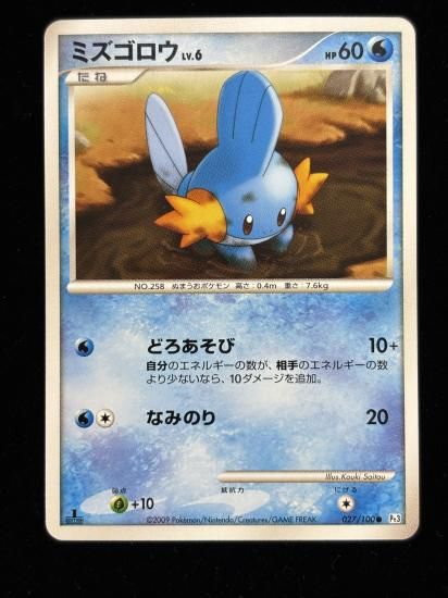 【状態B】●ミズゴロウ(027/100)