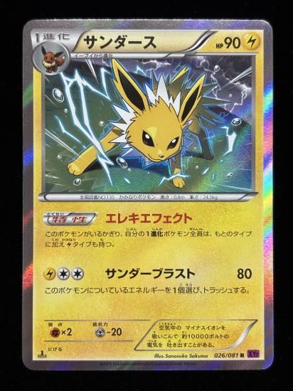 【状態B】●サンダース(026/081)