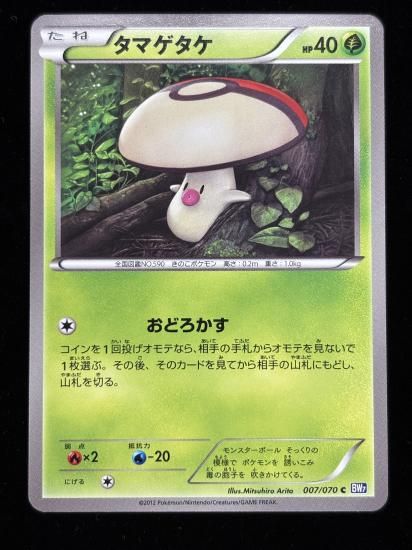 【状態A】●タマゲタケ【アンリミ】●(007/070)
