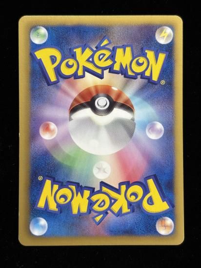 【状態A】●モウカザル【アンリミ】●(010/070)