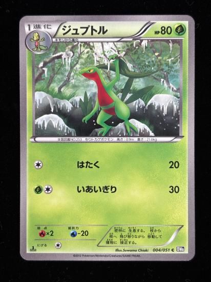 【状態A】●ジュプトル(004/051)