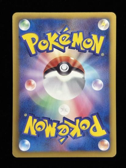 【状態A】●キモリ(003/051)