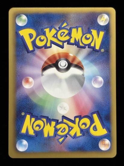 【状態B】●ポッチャマ(019/069)