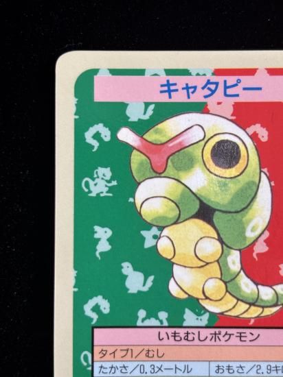 【状態A】●キャタピー 裏面青 エラー