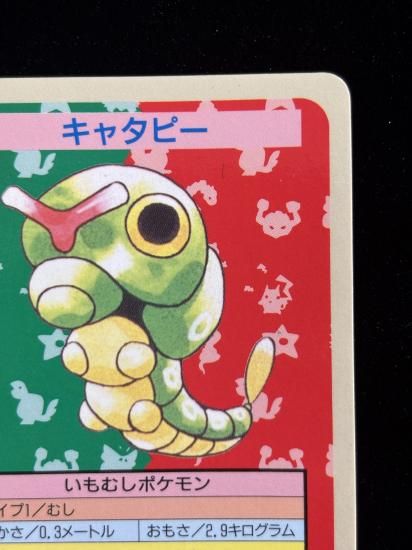 【状態A】●キャタピー 裏面青 エラー