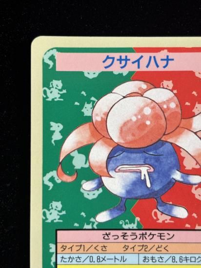 【状態B】●クサイハナ 裏面青 エラー