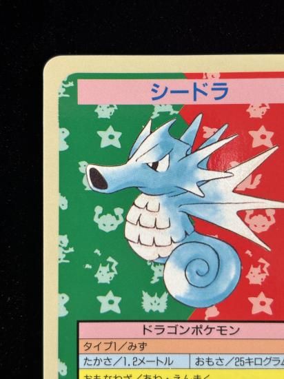 【状態A】●シードラ 裏面青 エラー