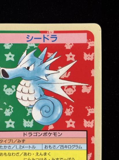 【状態A】●シードラ 裏面青 エラー