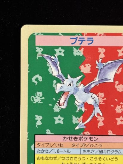 【状態B】●プテラ 裏面青 エラー