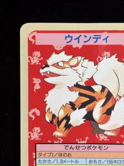 【状態B】●ウインディ 裏面青 エラー