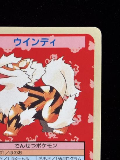 【状態B】●ウインディ 裏面青 エラー