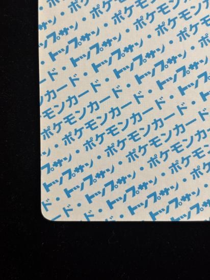 【状態A】●プテラ 裏面青 エラー