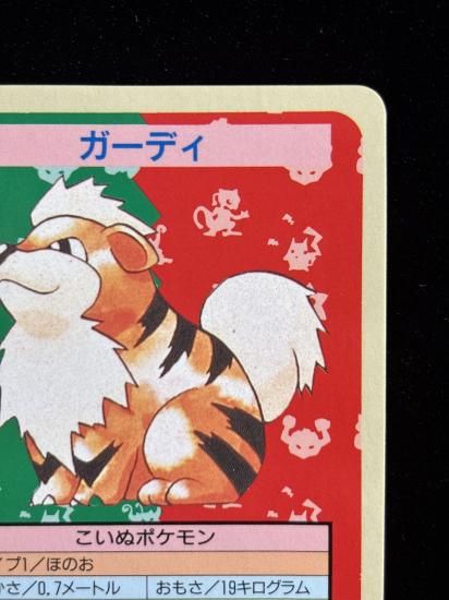 【状態A】●ガーディ 裏面青 エラー