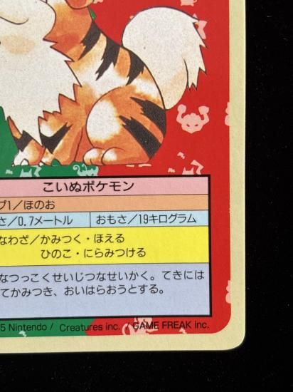 【状態A】●ガーディ 裏面青 エラー