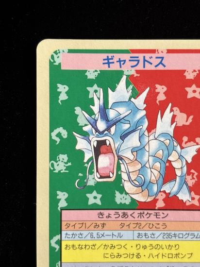 【状態C】●ギャラドス 裏面青 エラー