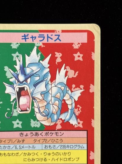 【状態C】●ギャラドス 裏面青 エラー