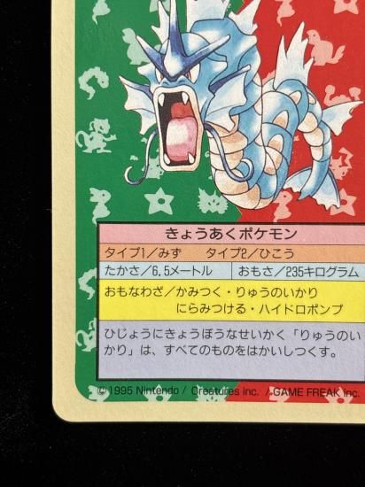 【状態C】●ギャラドス 裏面青 エラー