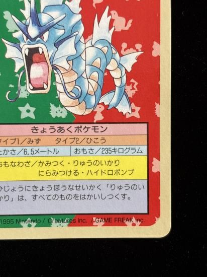 【状態C】●ギャラドス 裏面青 エラー