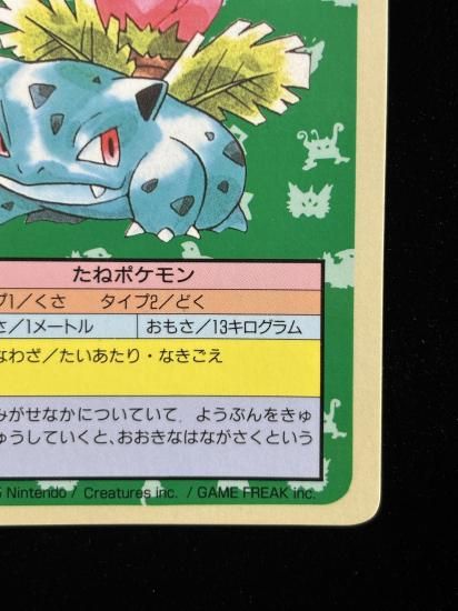 【状態A】●フシギソウ 裏面青 エラー