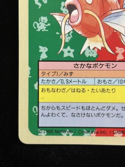 【状態B】●コイキング 裏面青 エラー