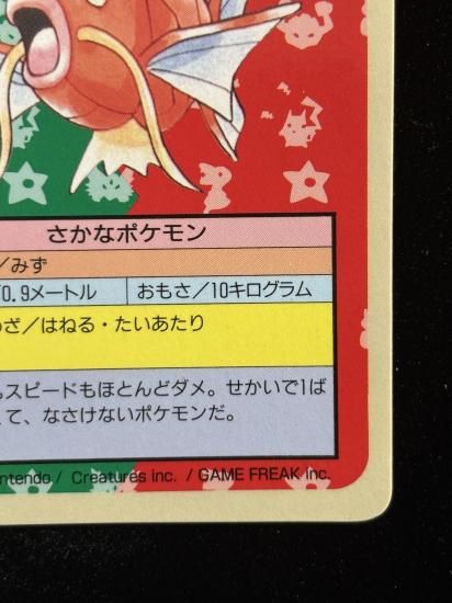 【状態B】●コイキング 裏面青 エラー