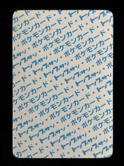 【状態B】●コイキング 裏面青 エラー