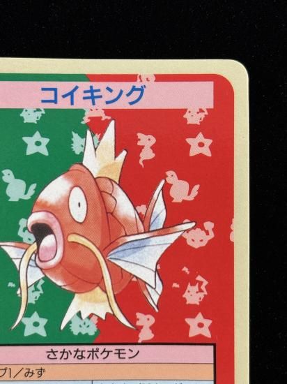 【状態A】●コイキング 裏面青 エラー